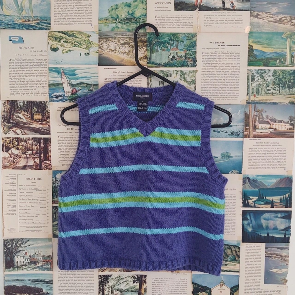 The Limited Blue and Green Striped Vest